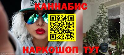 ГАЛЛЮЦИНОГЕННЫЕ ГРИБЫ Коммунар