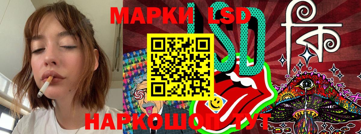 дарнет шоп  Вход с VPN  Марки NBOMe 1,8мг  Клин  Марки NBOMe 1,8мг 