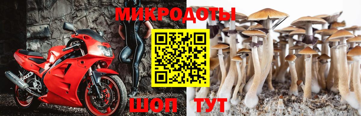 Клин  Псилоцибиновые грибы мухоморы  Вход с VPN 